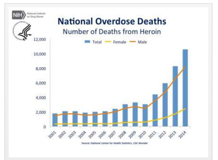 Graph of US heroin deaths