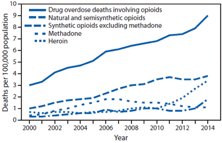 A chart showing the drug overdose deaths involving opioids. 