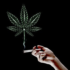 Marijuana leaf made of smoke