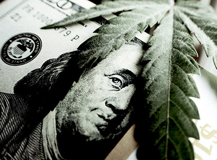 Marijuana leaf and money
