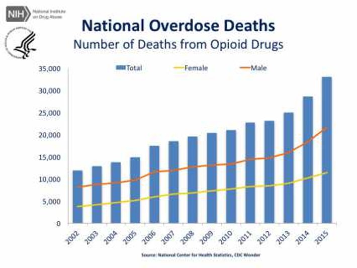 Chart shows overdose deaths from prescription opioids. 