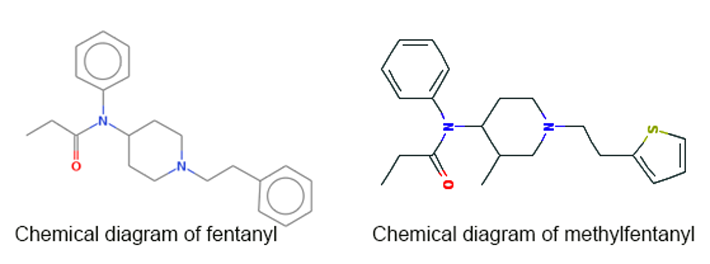 Chemical diagrams of fentanyl and methylfentanyl. 