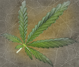 marijuana-leaf